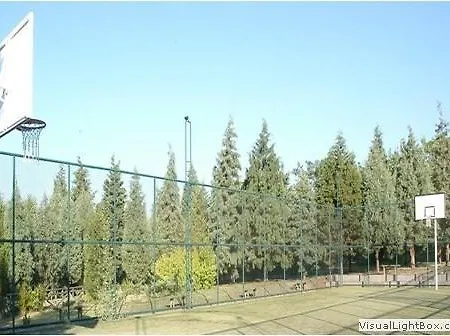 리조트 Thermal & Emet