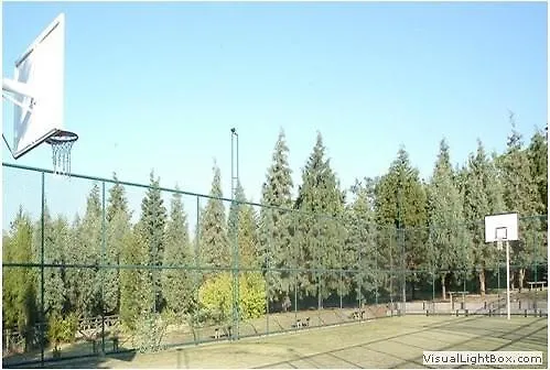 Complex Thermal & Emet